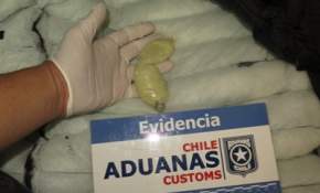 Arica: Turista es sorprendido transportando preservativos con cocaína en su chaqueta [FOTOS]