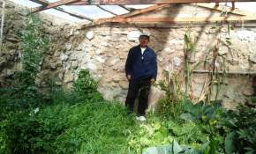 Fortalecen agricultura familiar campesina en el altiplano de Arica y Parinacota