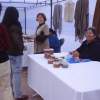 Fotos: Muestra Artesanal de Cultores Indígenas en Arica