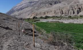 SAG Arica y Parinacota abre concursos para la recuperación de suelos degradados [FOTOS]